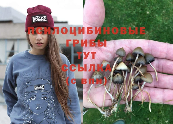 2c-b Алексеевка