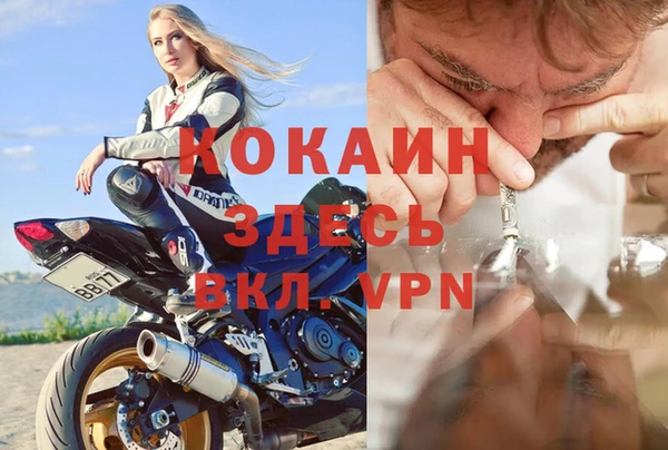 спиды Алзамай