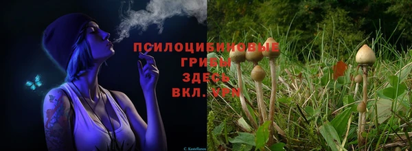 2c-b Алексеевка