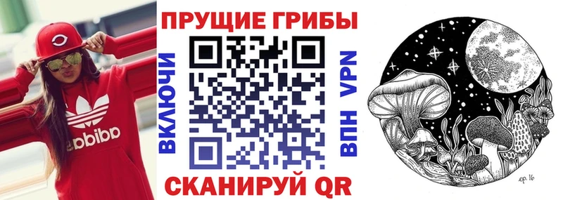 нарко площадка официальный сайт  Сольцы  Галлюциногенные грибы Cubensis  купить наркоту 